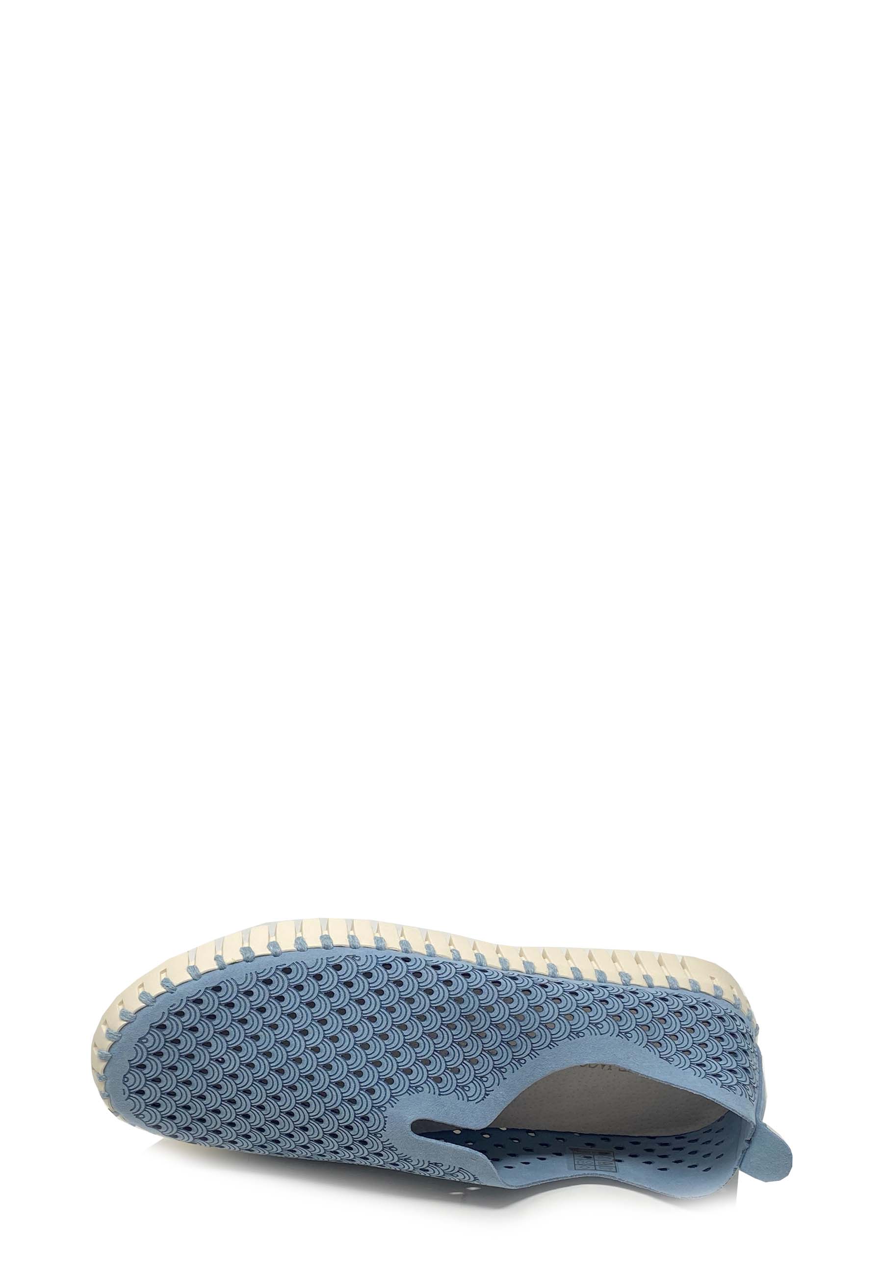 Tulip Sneaker | Blue Cloud