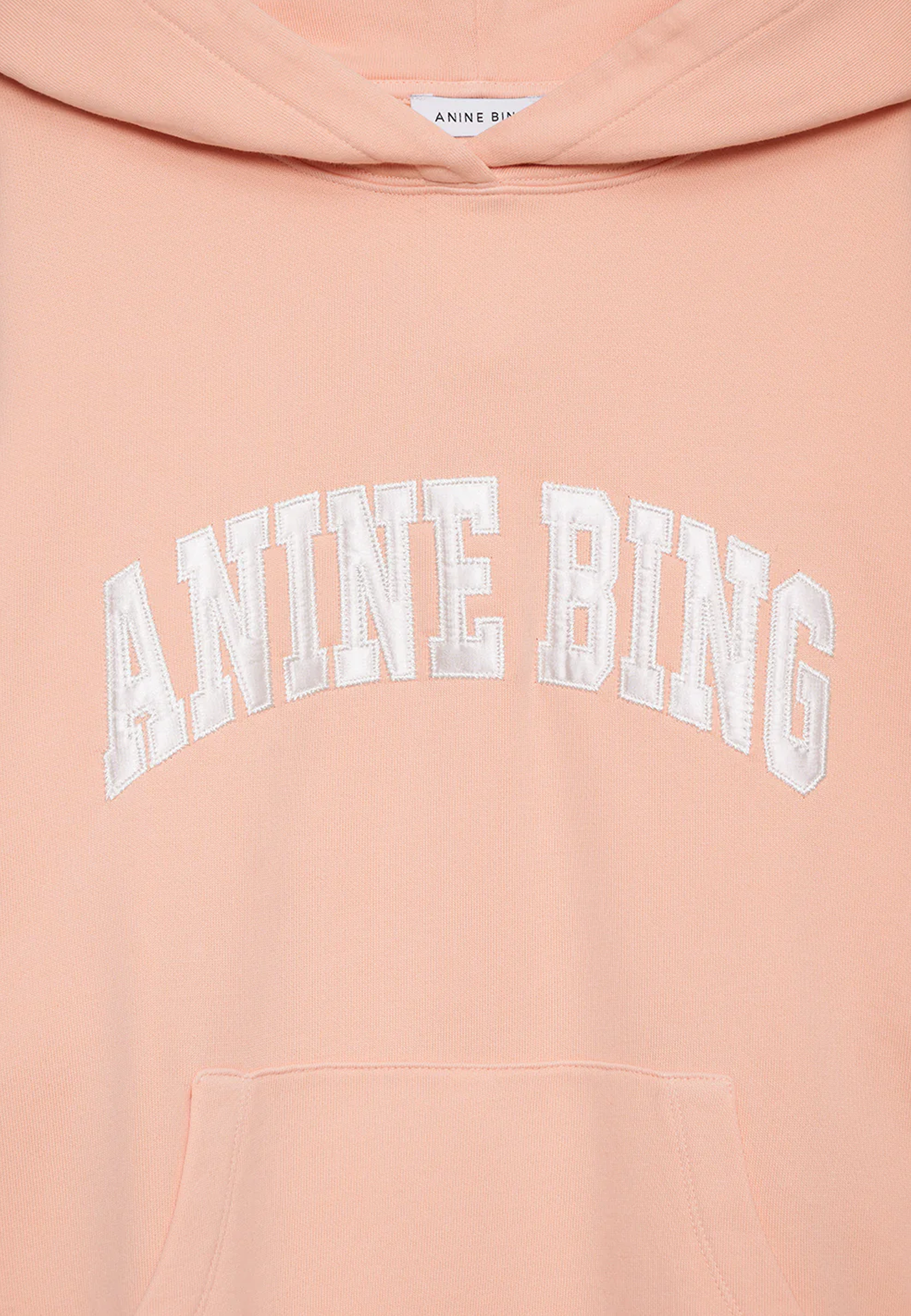 Harvey Sweatshirt |Â Anine Bing Coral Pink