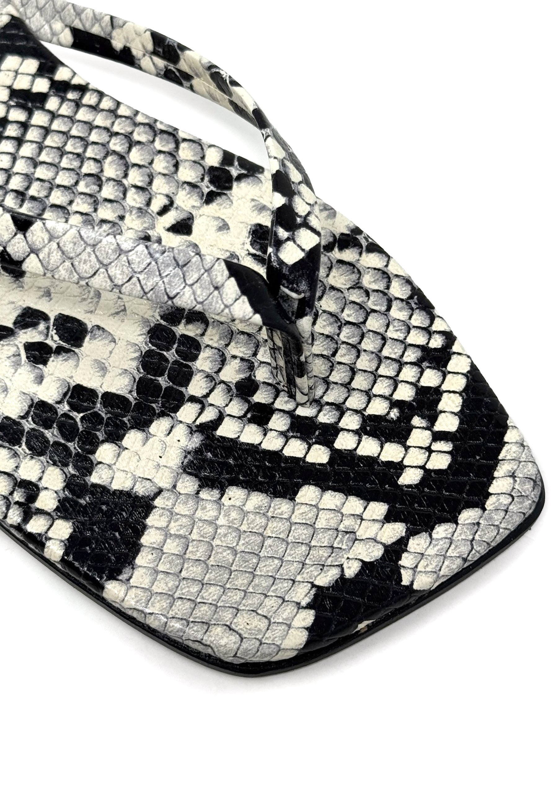 Eden 01 Thong Sandals | Roccia