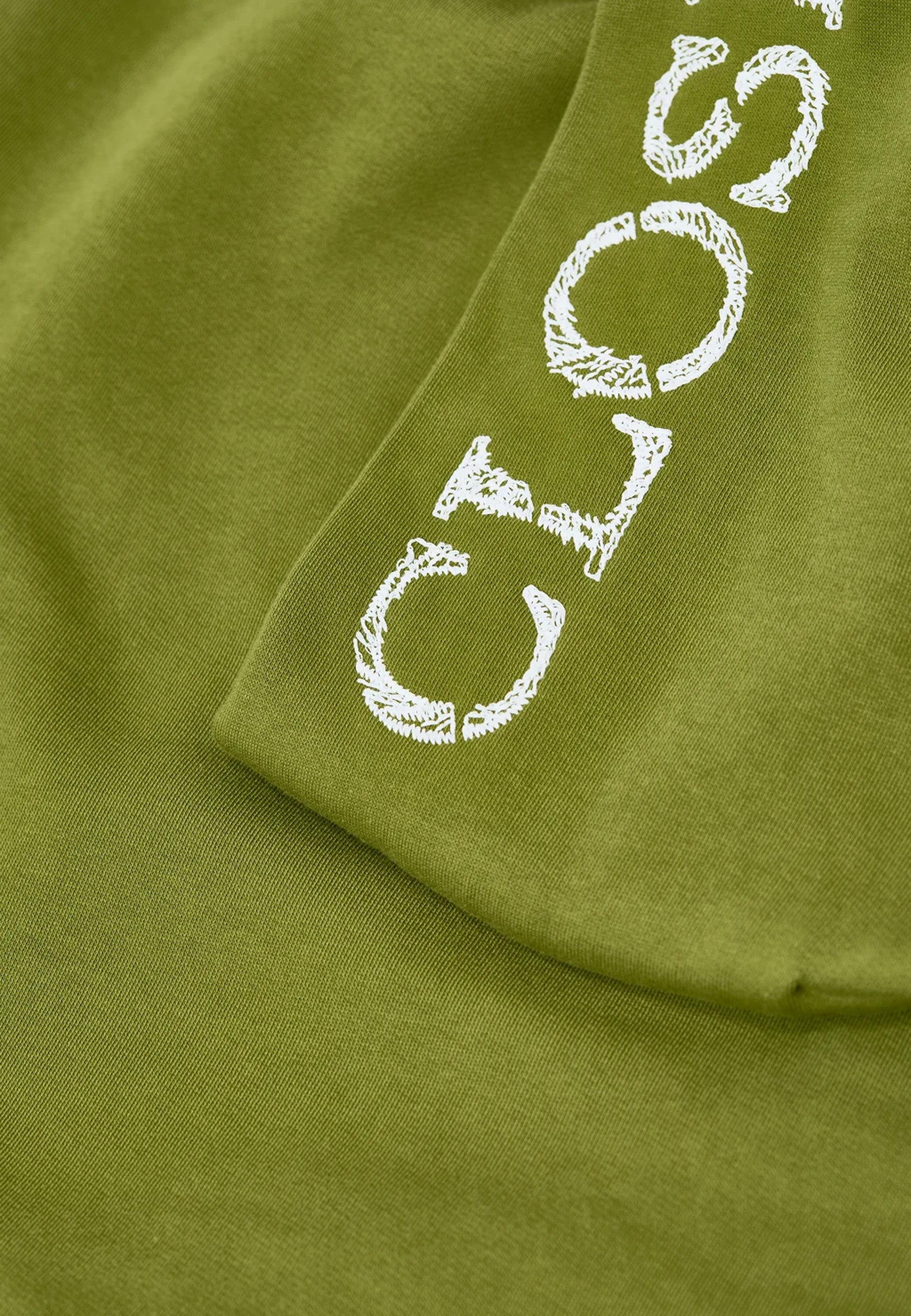 C95358 Logo Hoodie | Pistachio Green