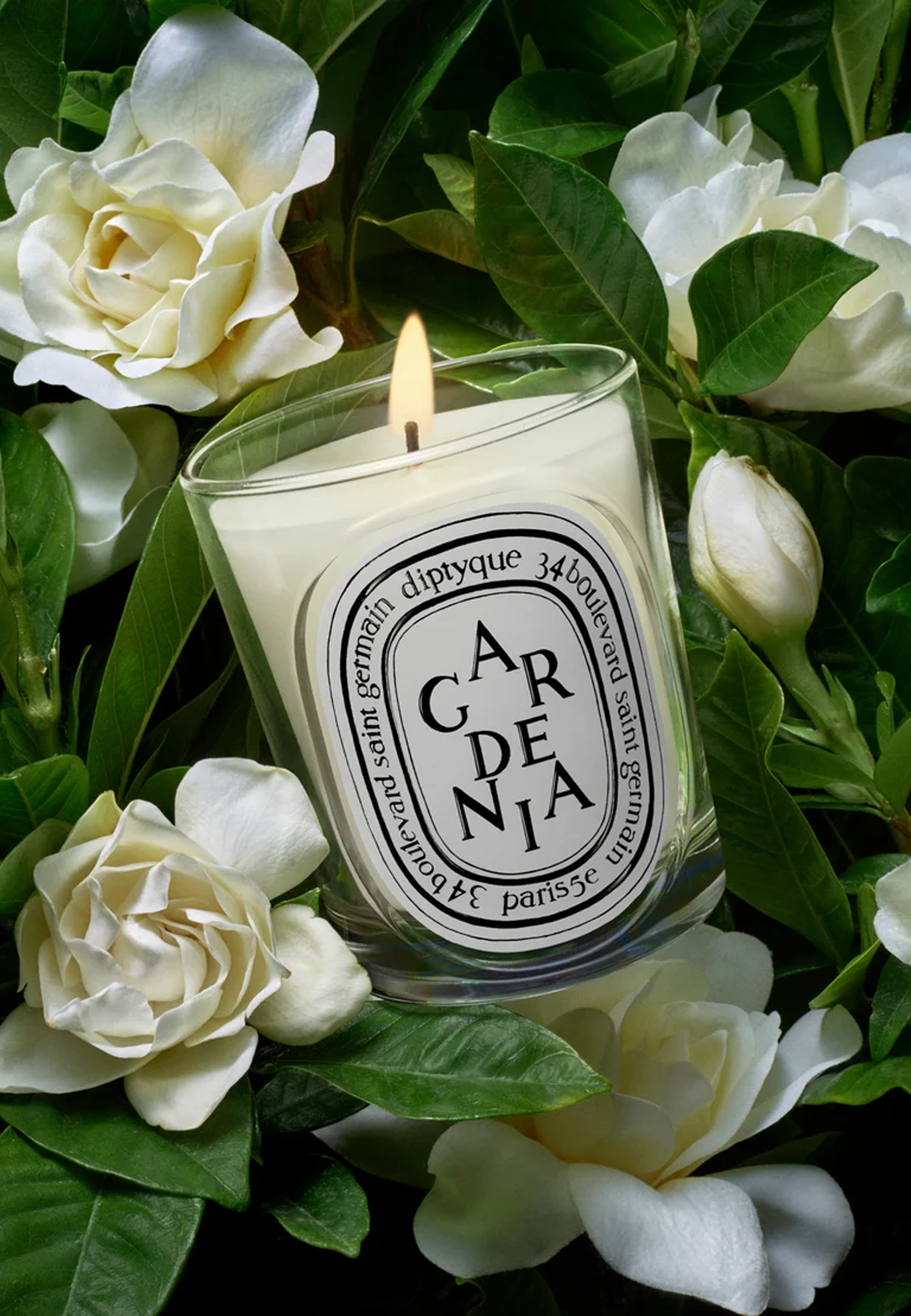 Gardenia Kerze