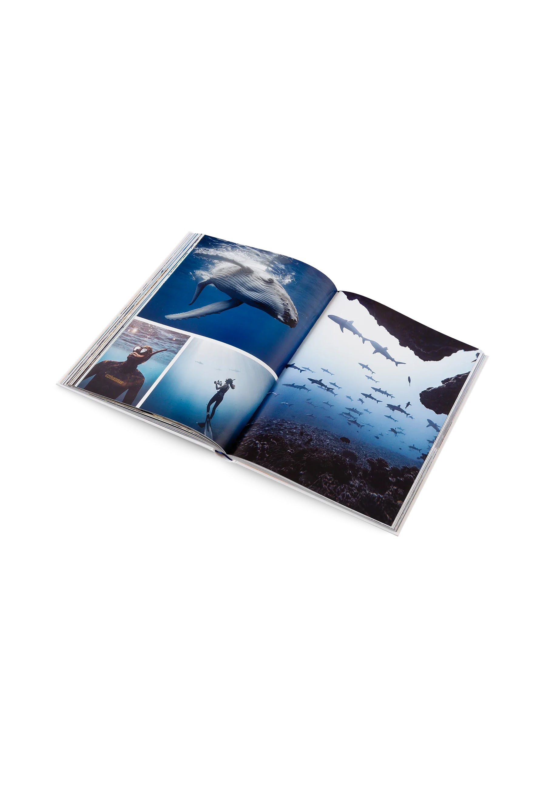 Boat Life Coffee Table Book