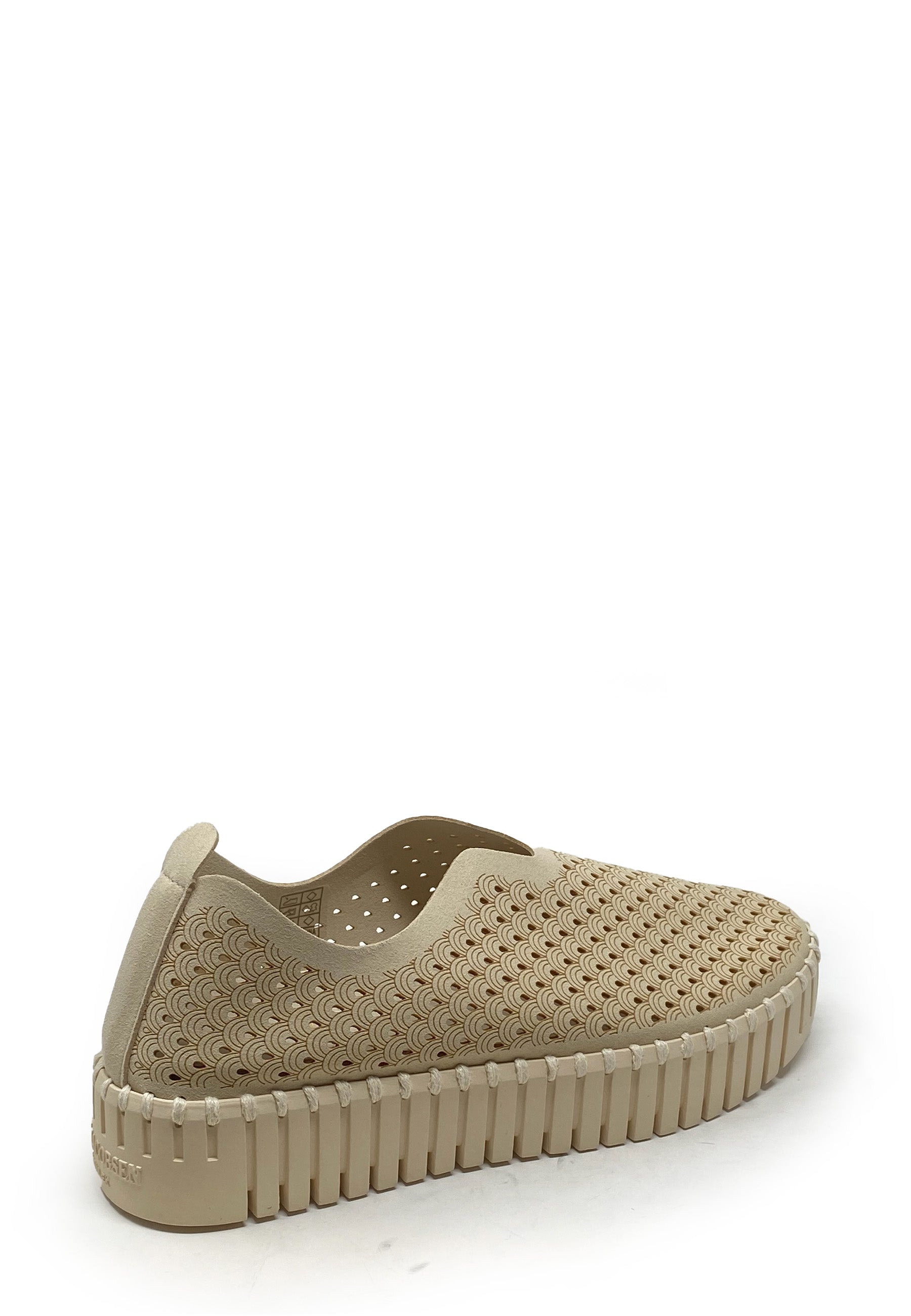 Tulip Sneaker | Kit