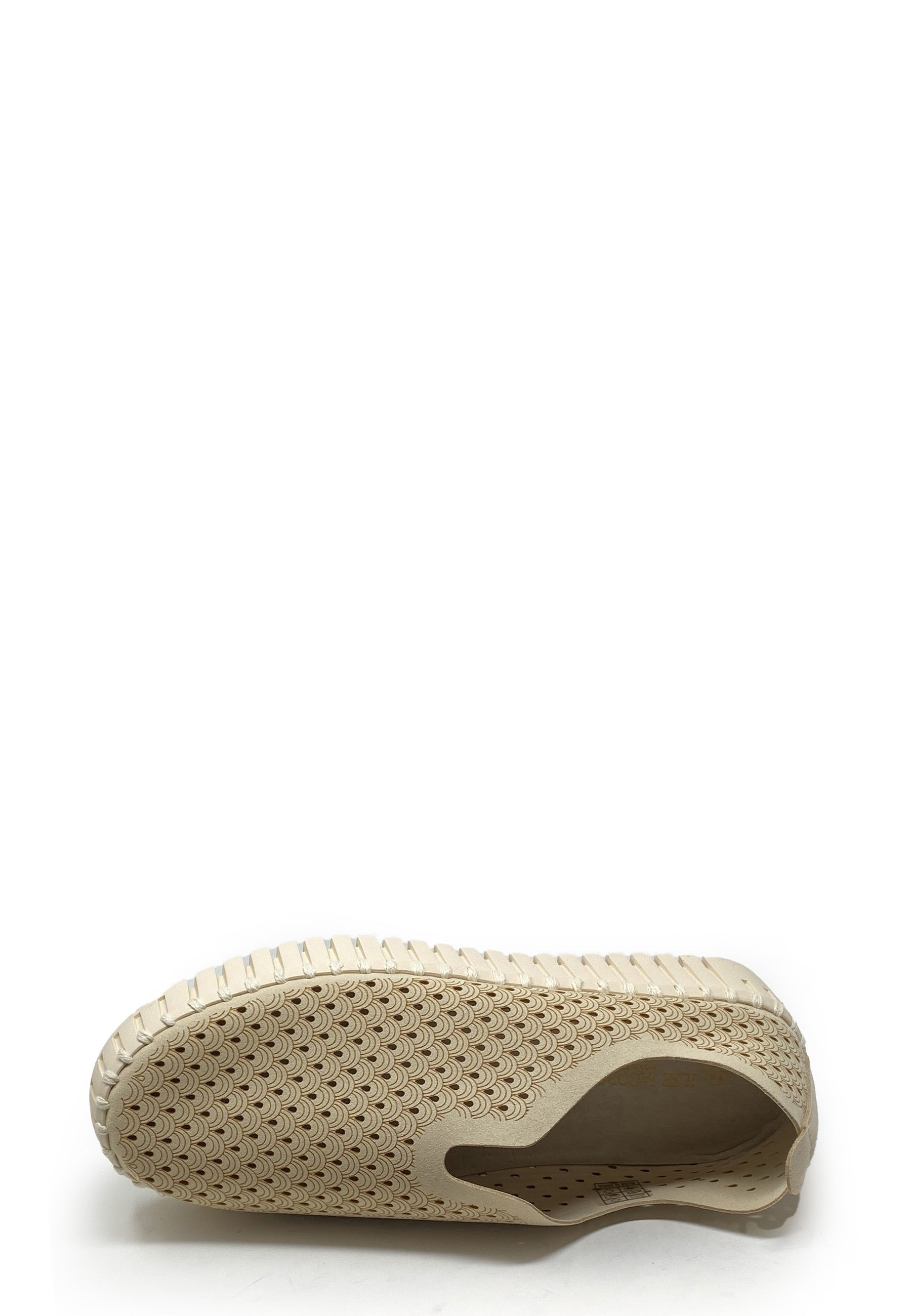 Tulip Sneaker | Kit