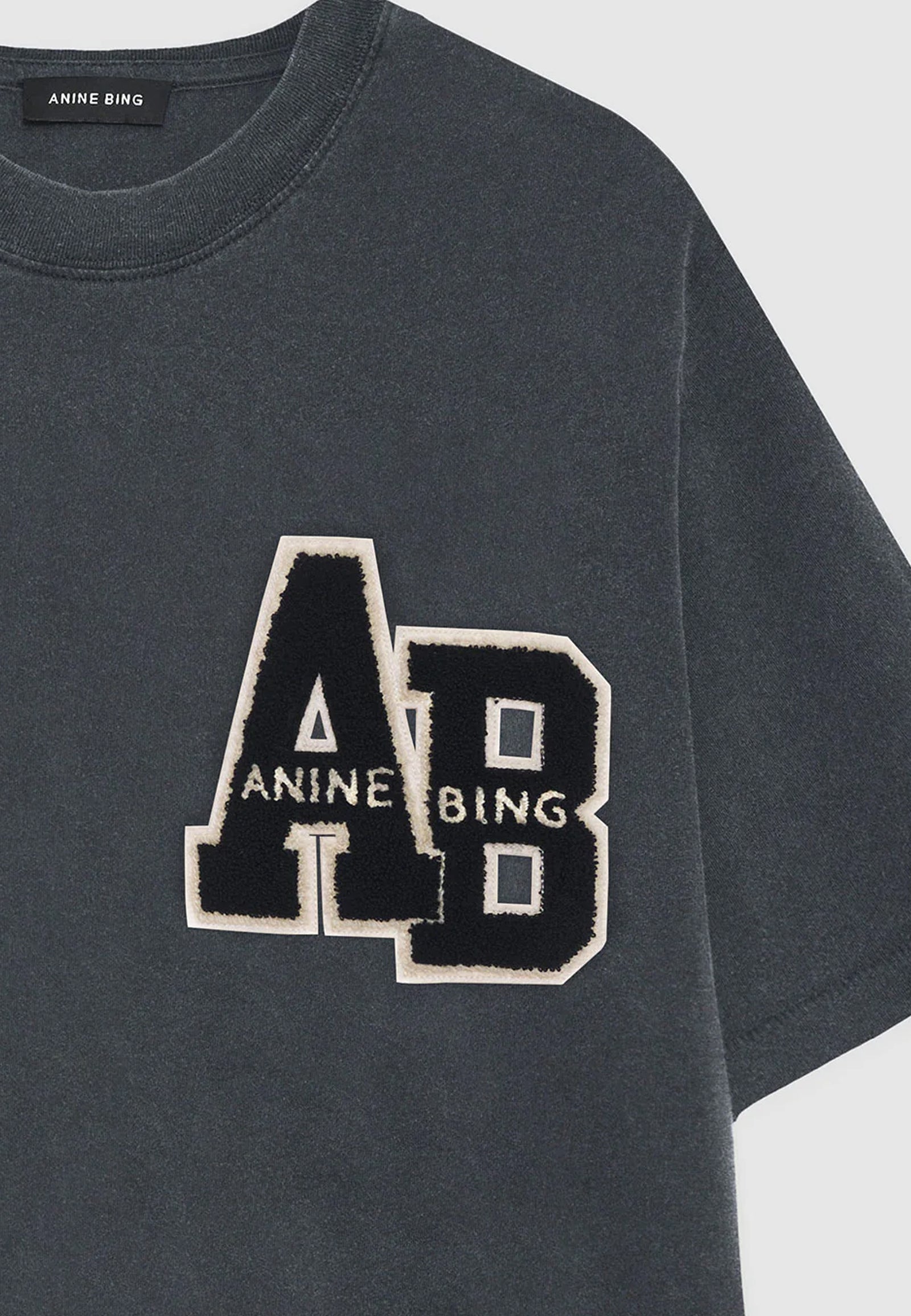 Anine bing t shirt dress online