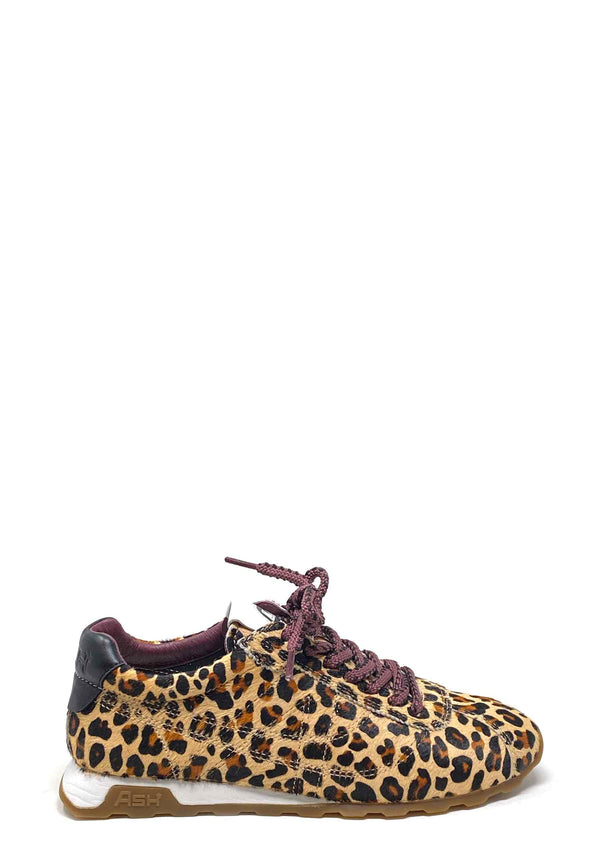 Kill Bill B Sneaker | Leo Beige