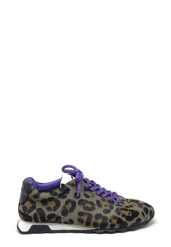 Kill Bill D Sneaker | Leo Brown