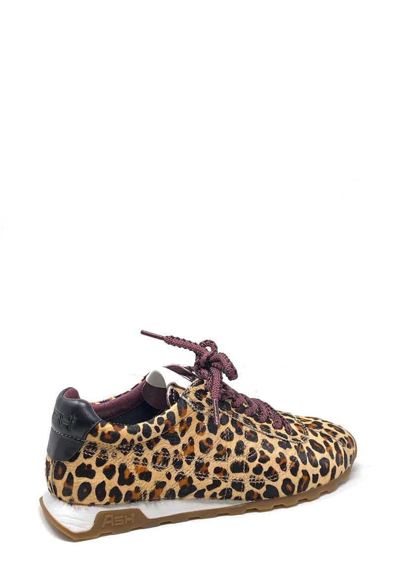 Kill Bill B Sneaker | Leo Beige