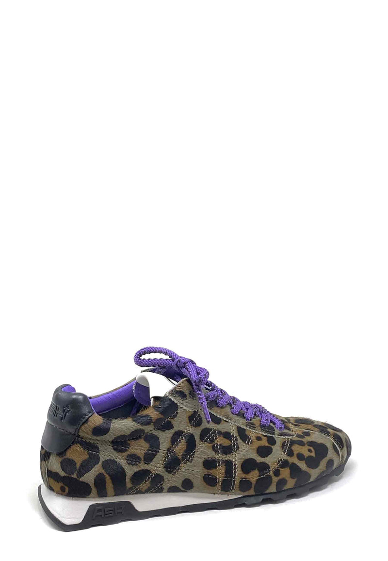 Kill Bill D Sneaker | Leo Brown