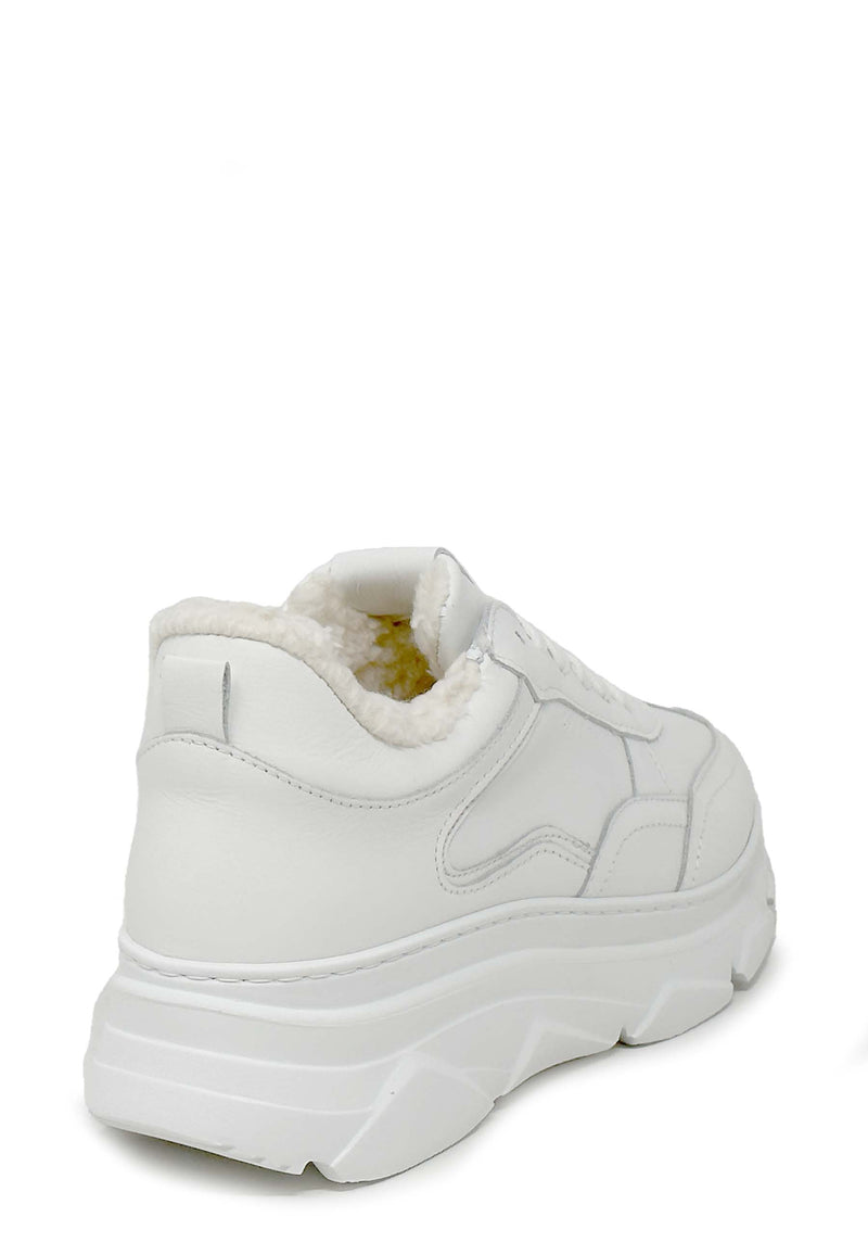 CPH60 Sneaker | White Vitello Teddy