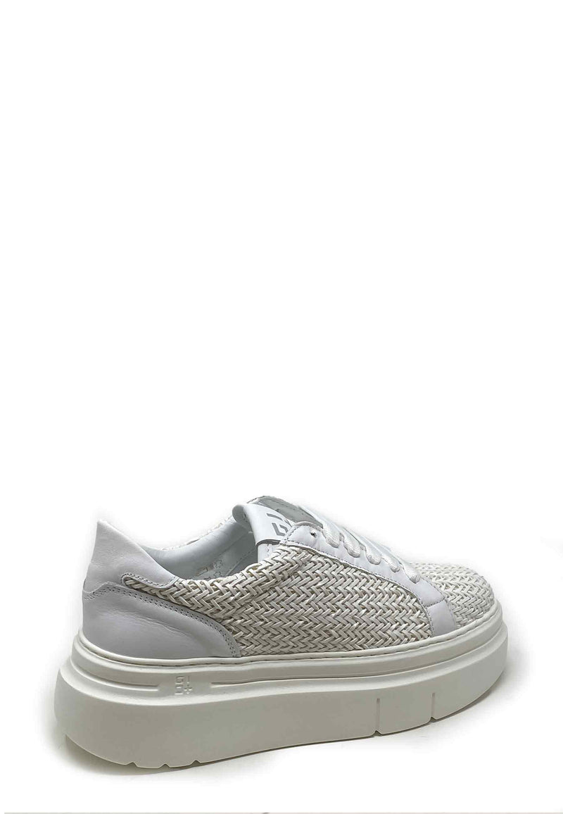 ARIA50A Sneaker | White