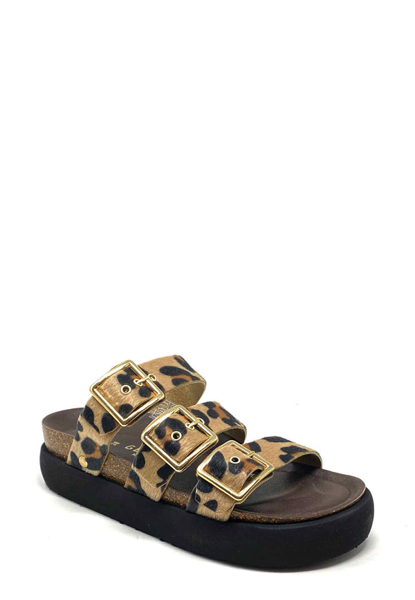 G106333 Pantolette | Leopard