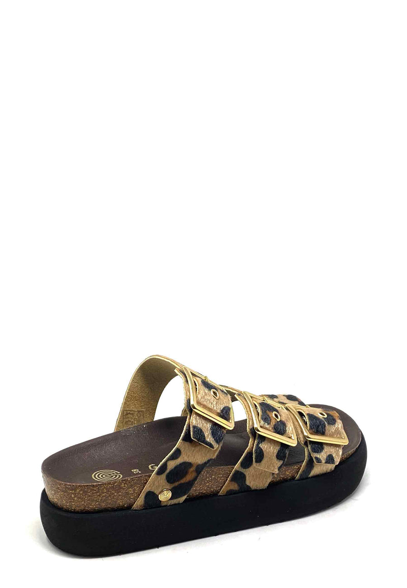 G106333 Mules | Leopard