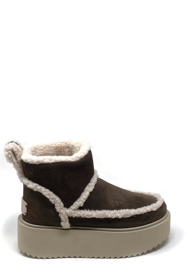 75204 Classic Low Boot Coccinelle x Inuikii | Brown Shearling