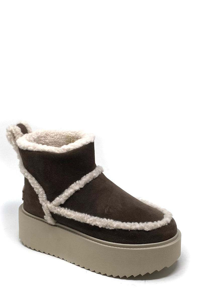 75204 Classic Low Boot Coccinelle x Inuikii | Brown Shearling