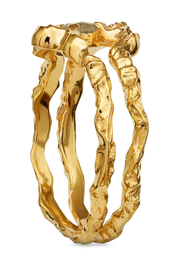 Shelly Ring | Gold