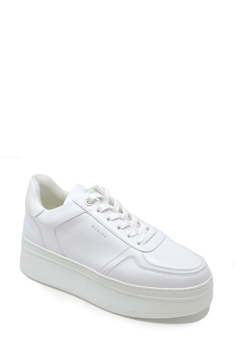 Bayou Sneaker | White