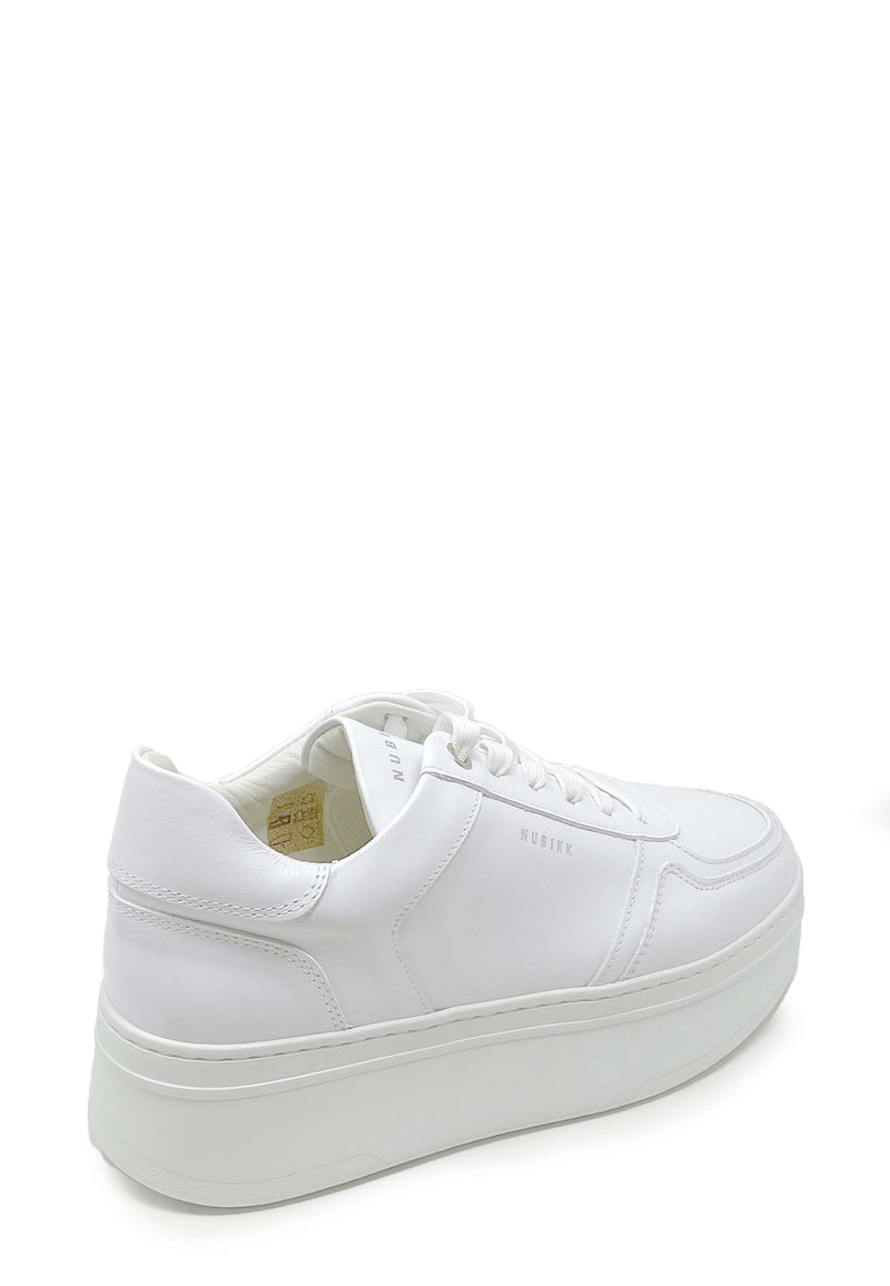 Bayou Sneaker | White