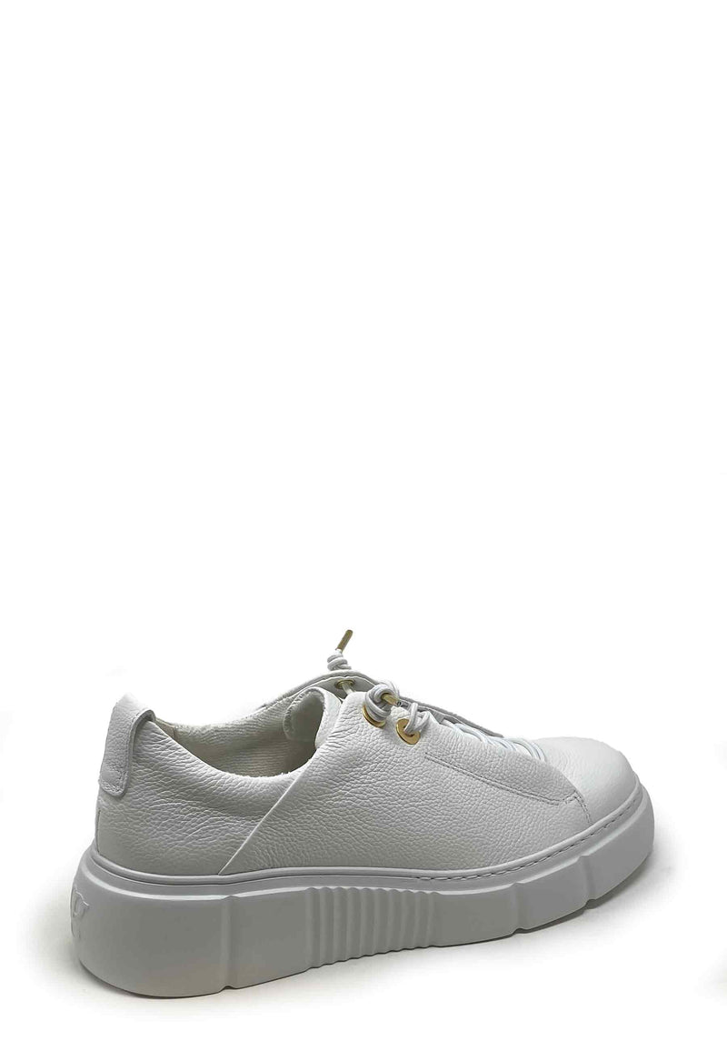 5418 Sneaker | White