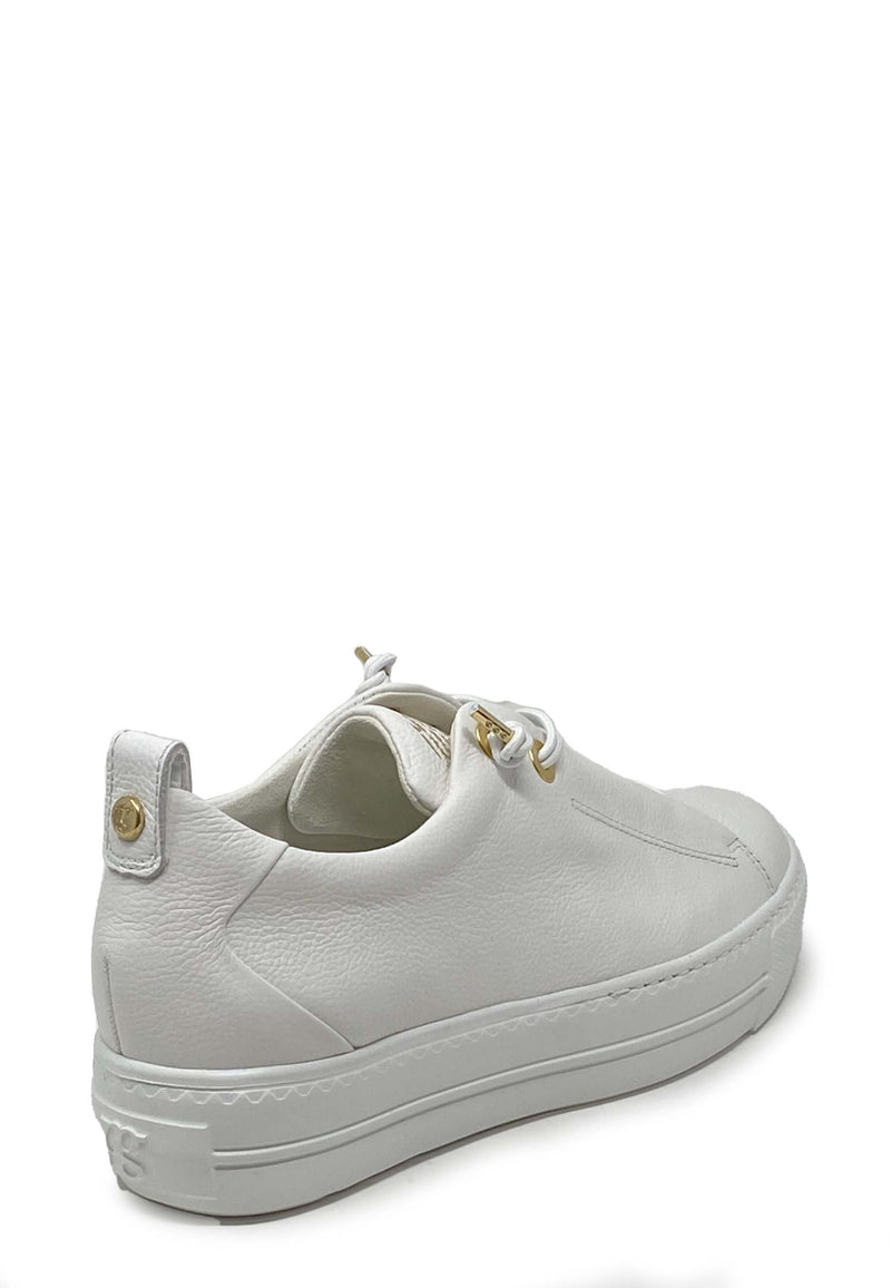 5017 Sneaker | White