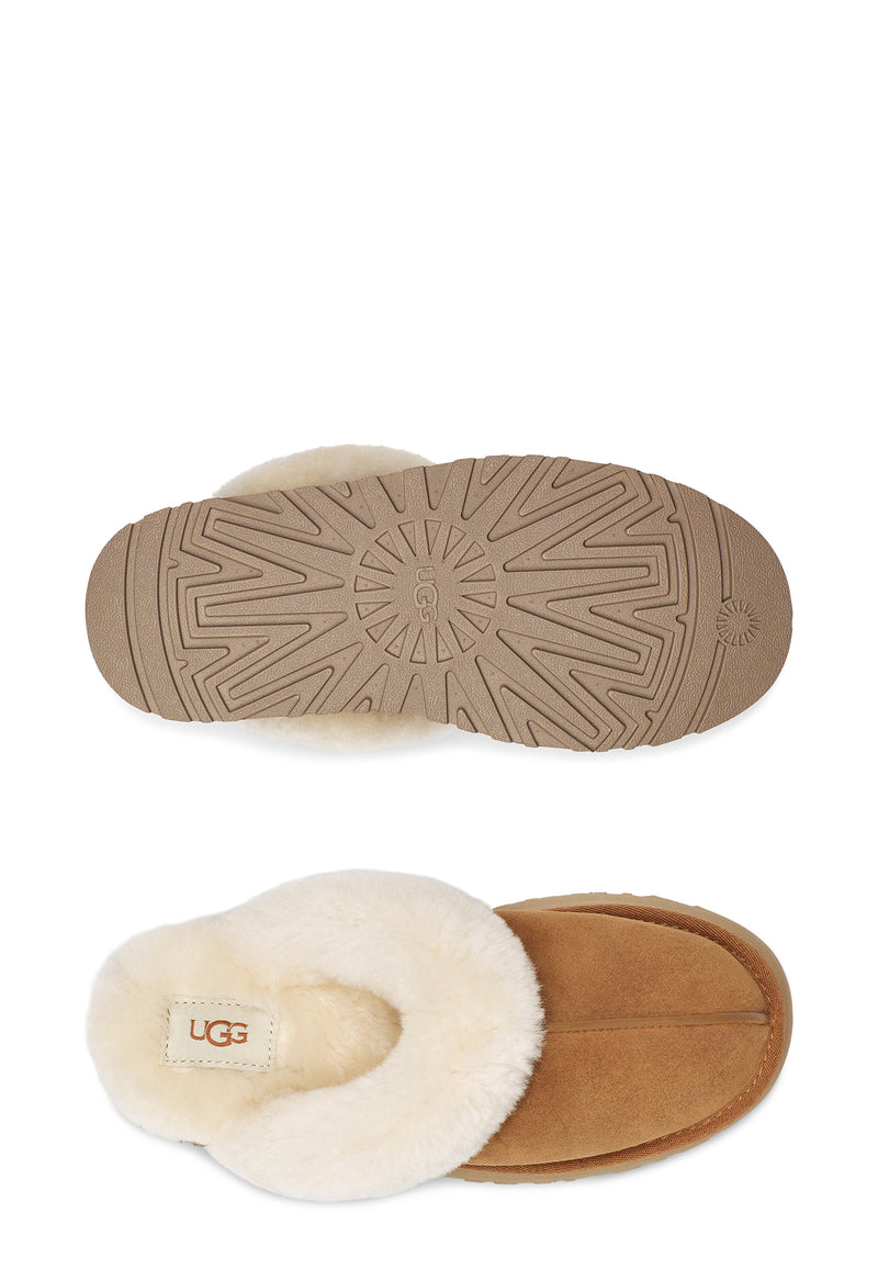 Disquette slipper | Chestnut