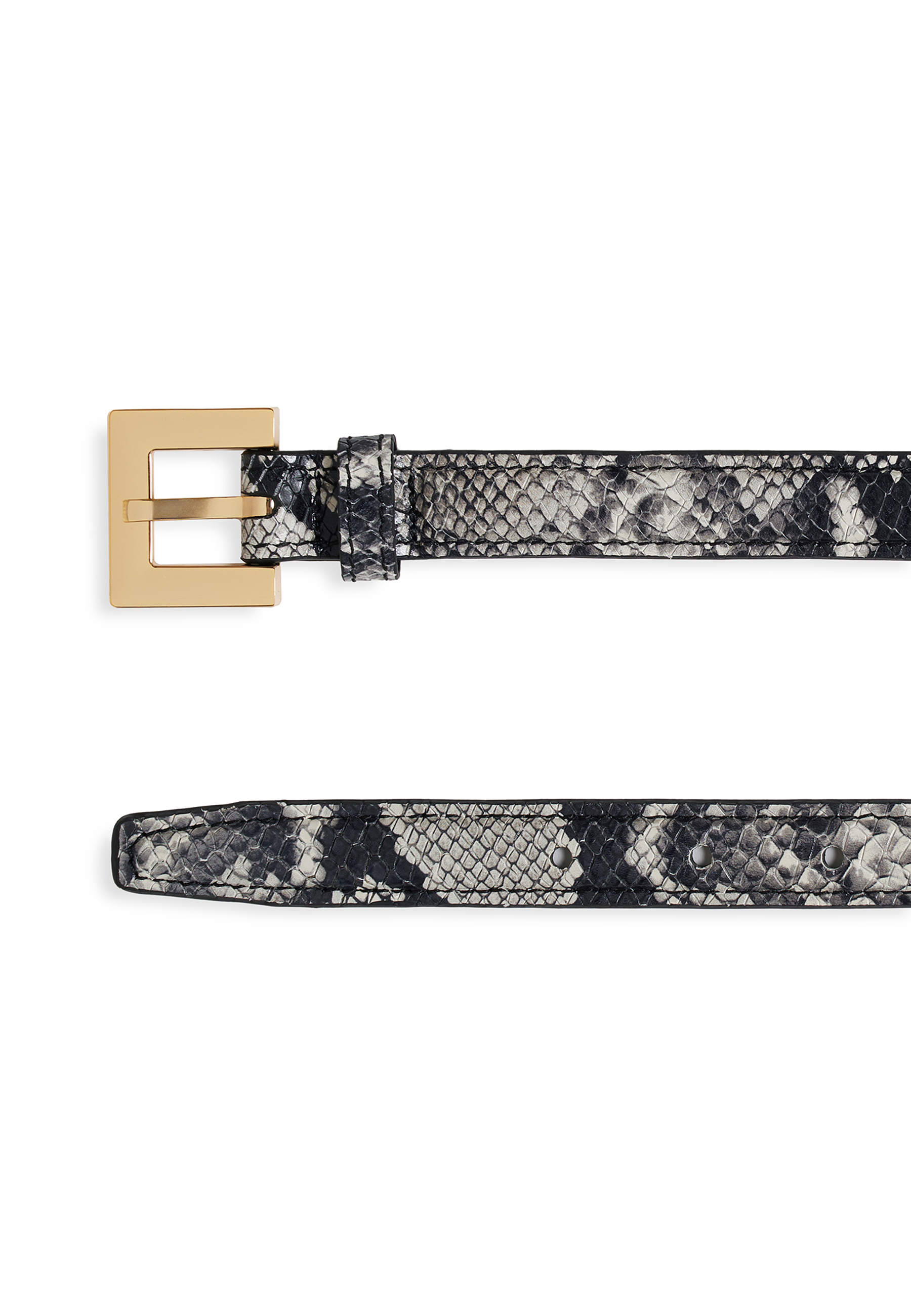 Nicola Gürtel | Black and White Snake