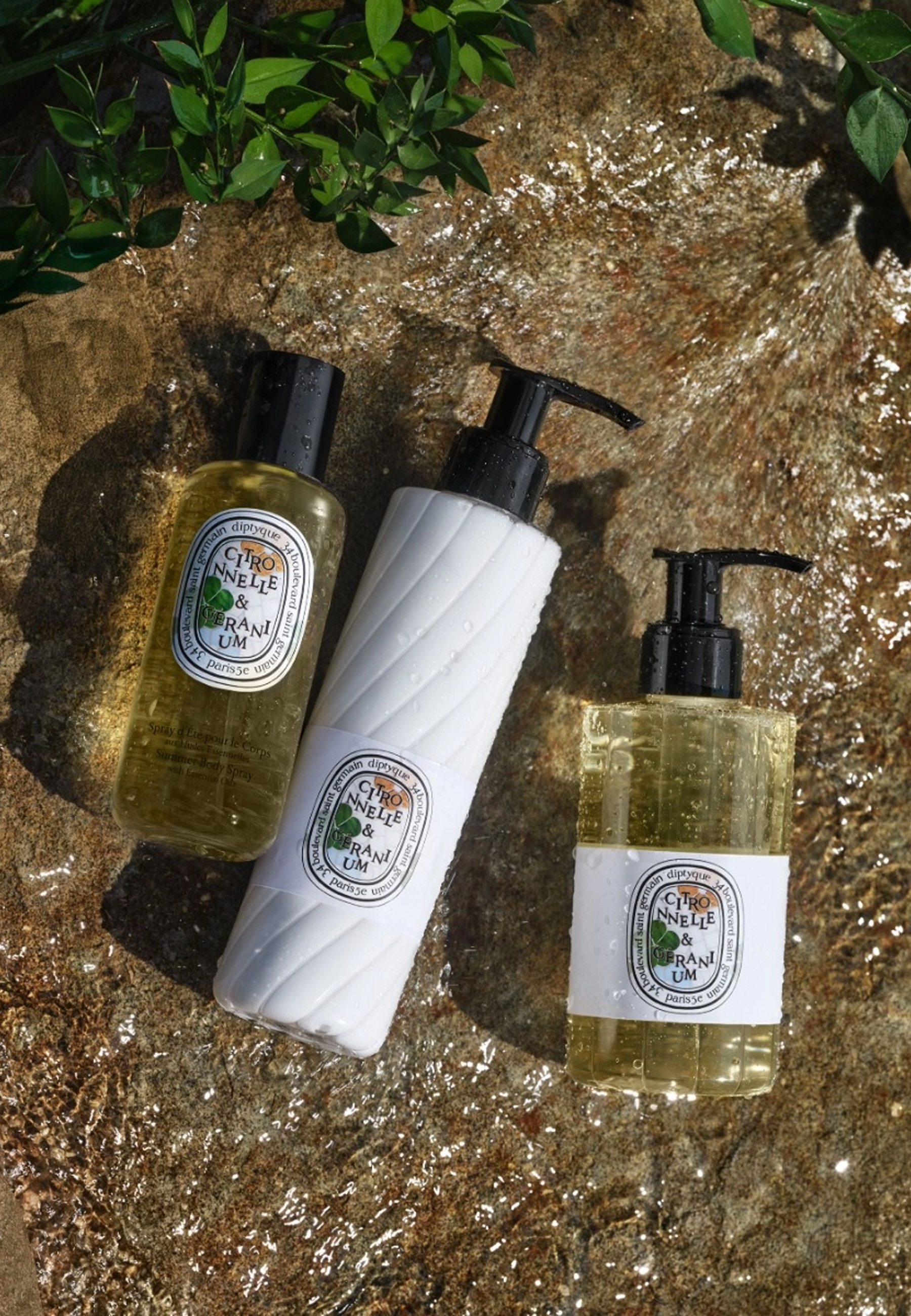 Citronnelle & Géranium Duschgel | Limited Edition
