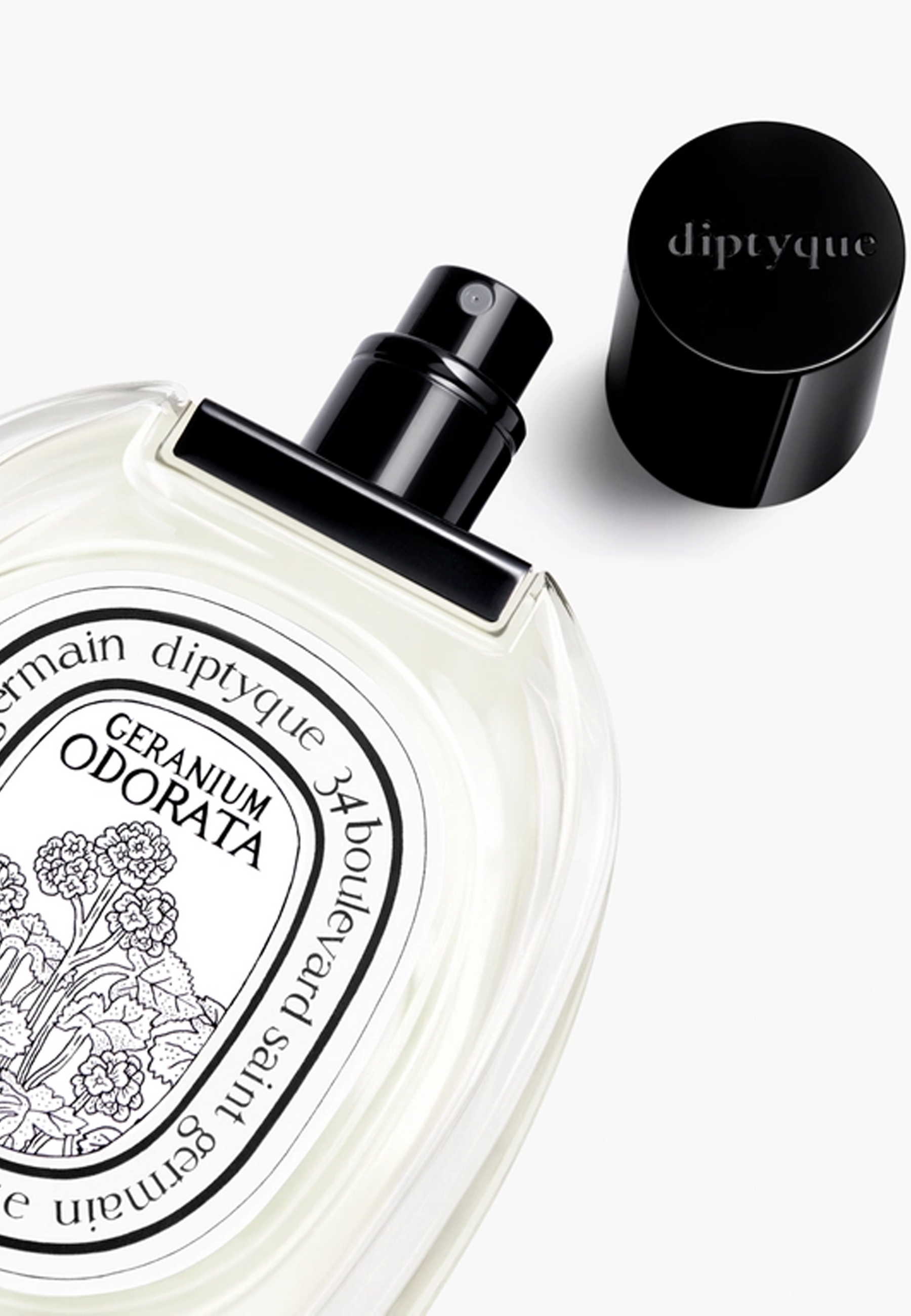 Geranium Odorata Eau de Toilette