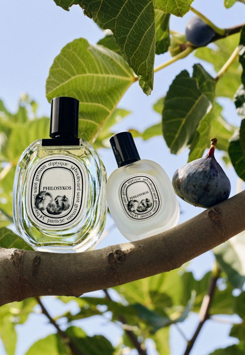Philosykos Haarparfum