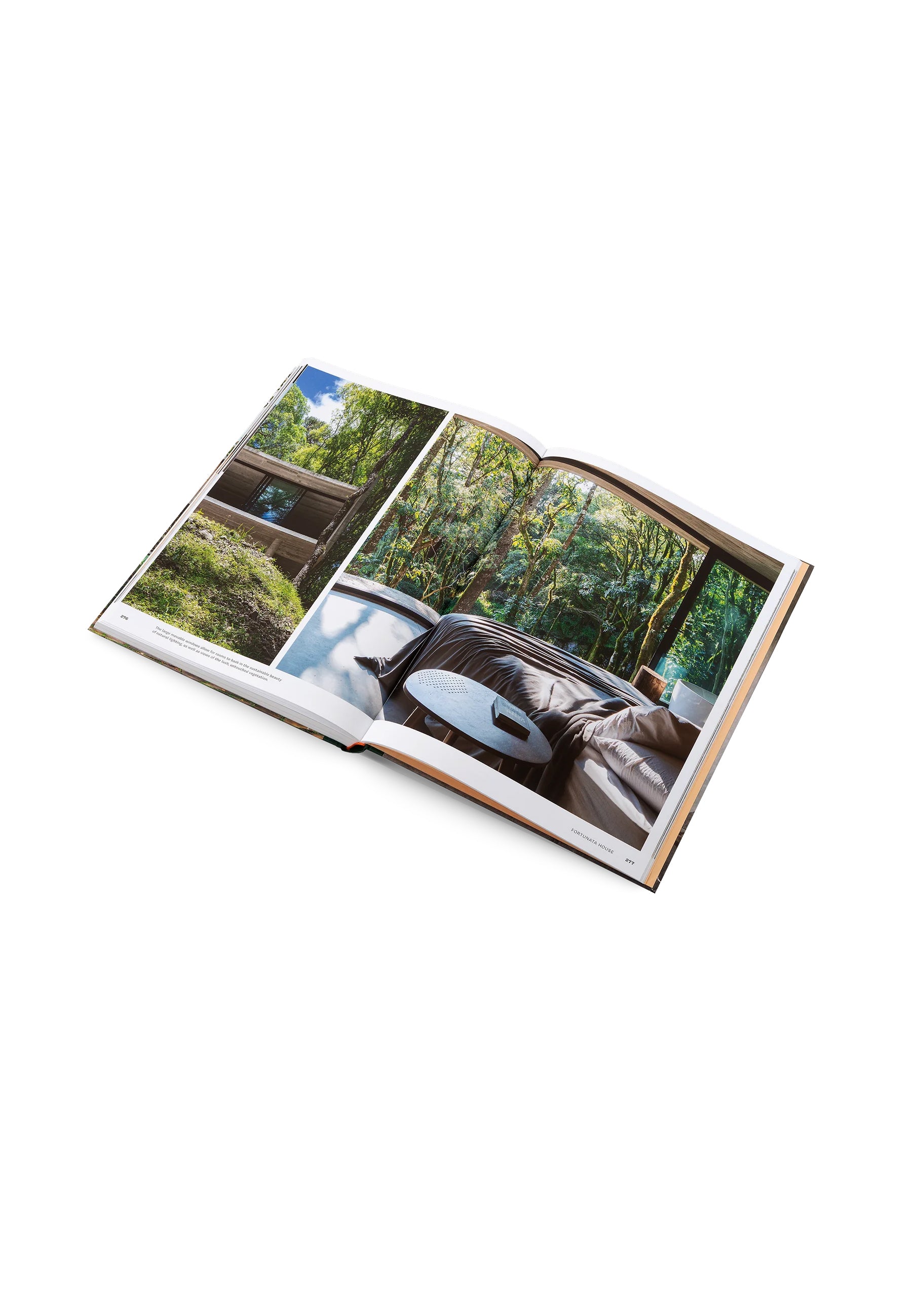Concrete Jungle Coffee Table Book