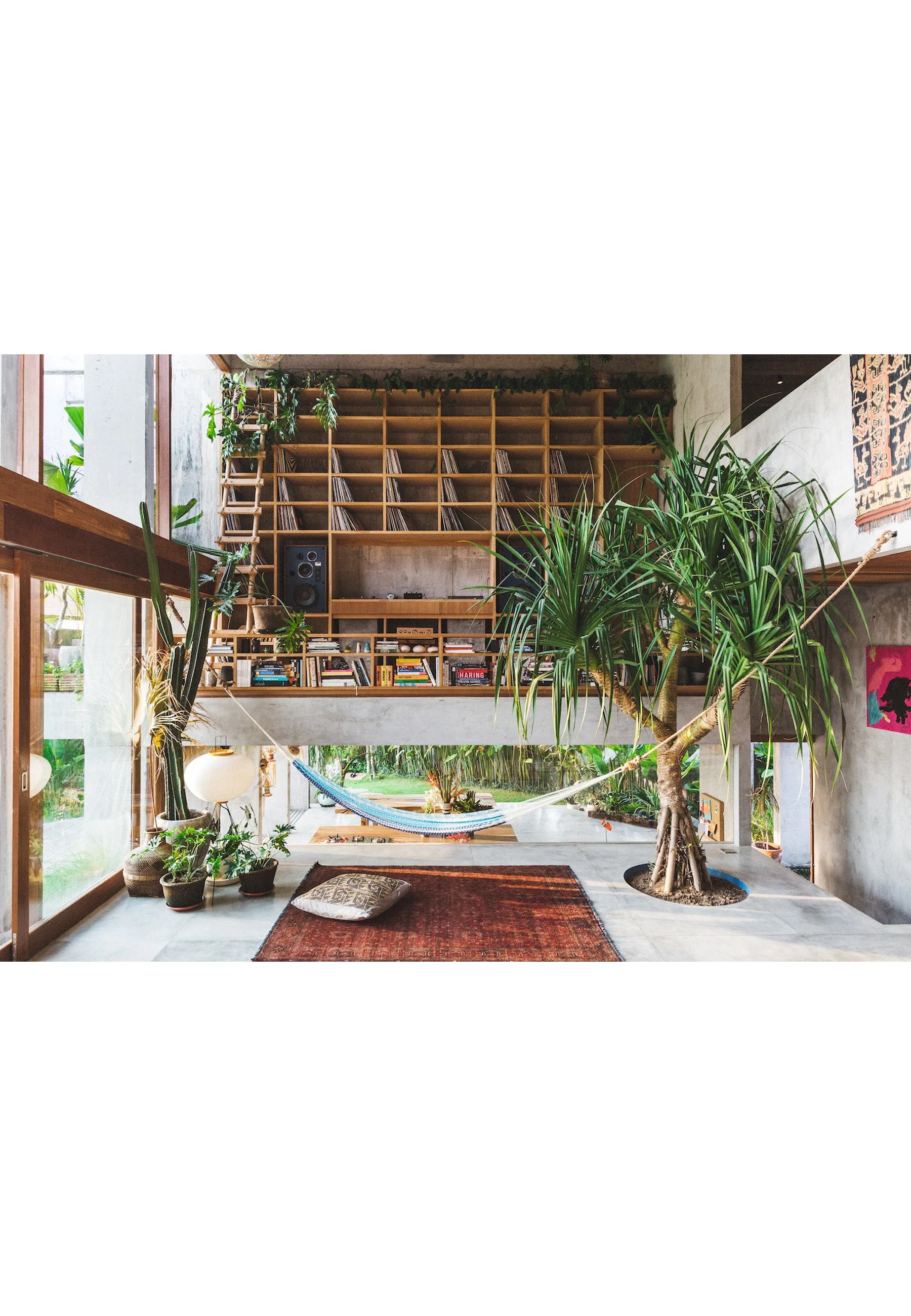 Concrete Jungle Coffee Table Book