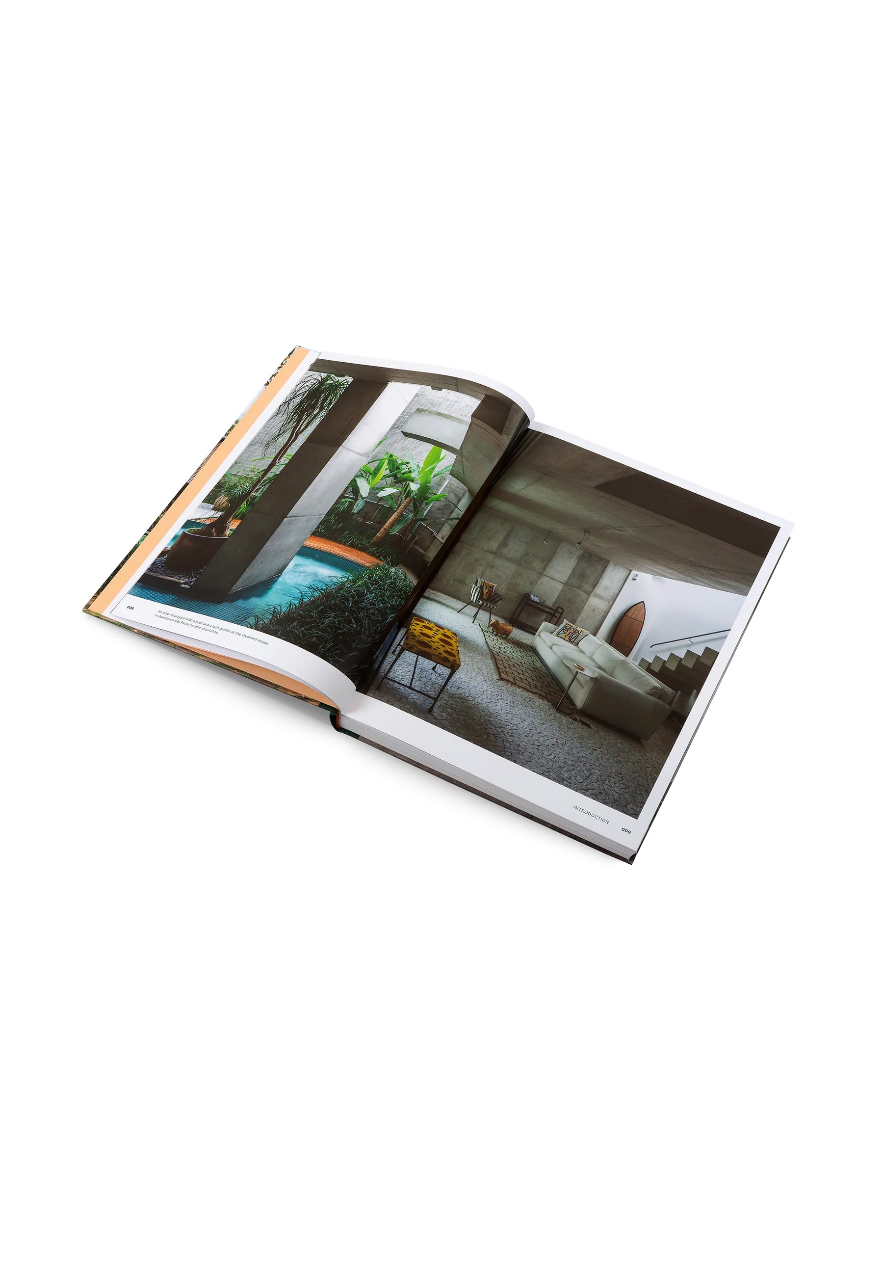 Concrete Jungle Coffee Table Book