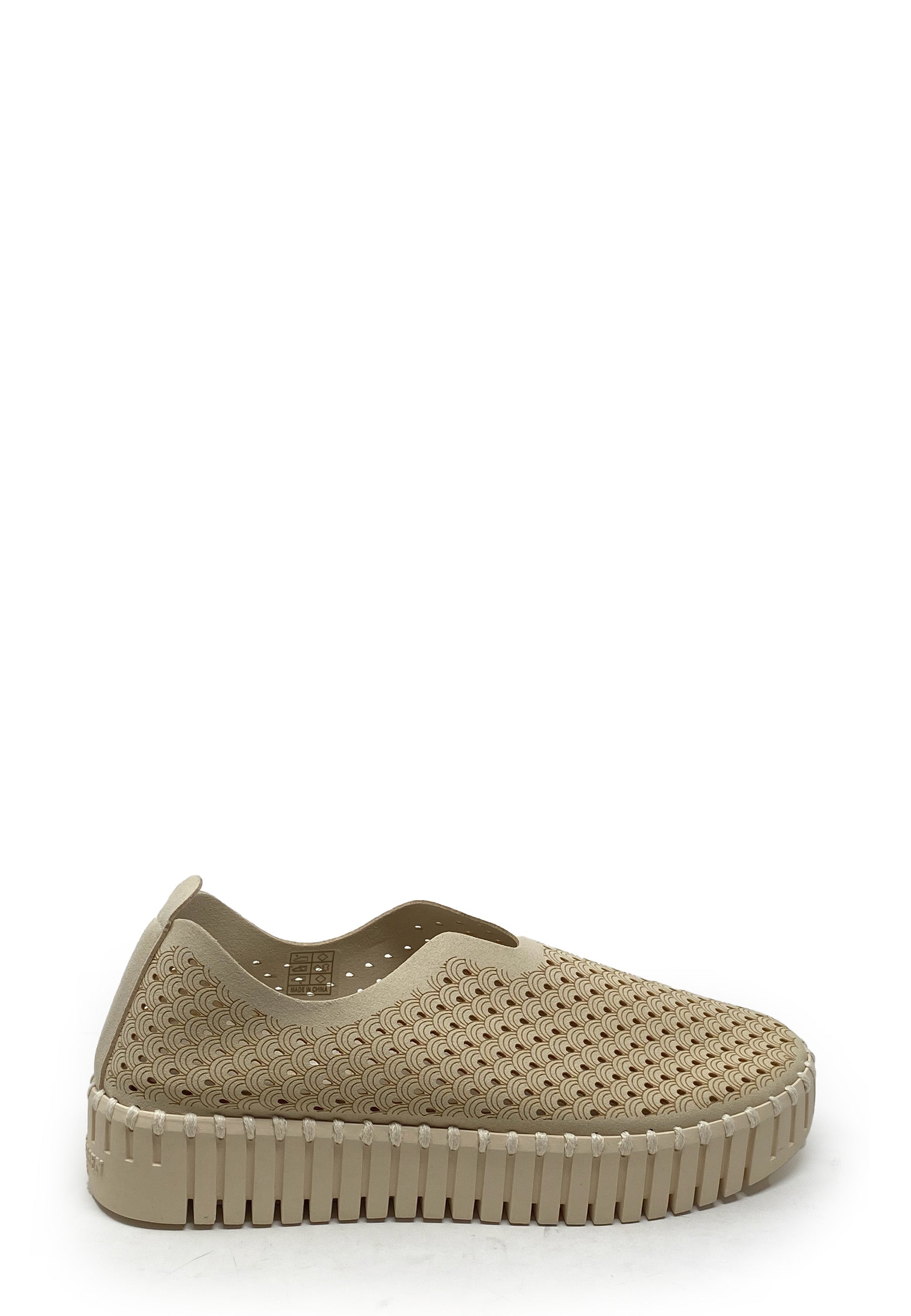 Tulip Sneaker | Kit