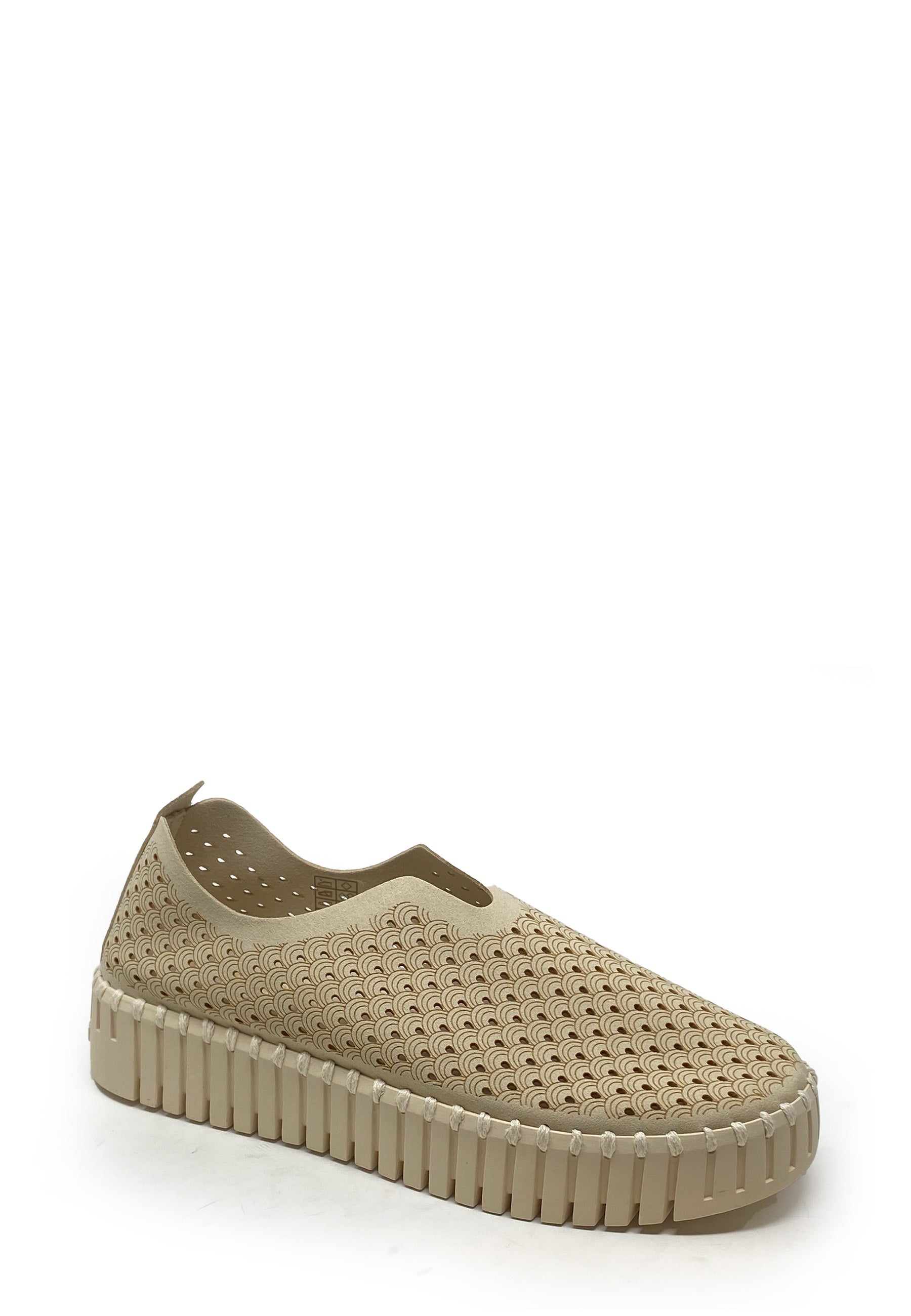Tulip Sneaker | Kit