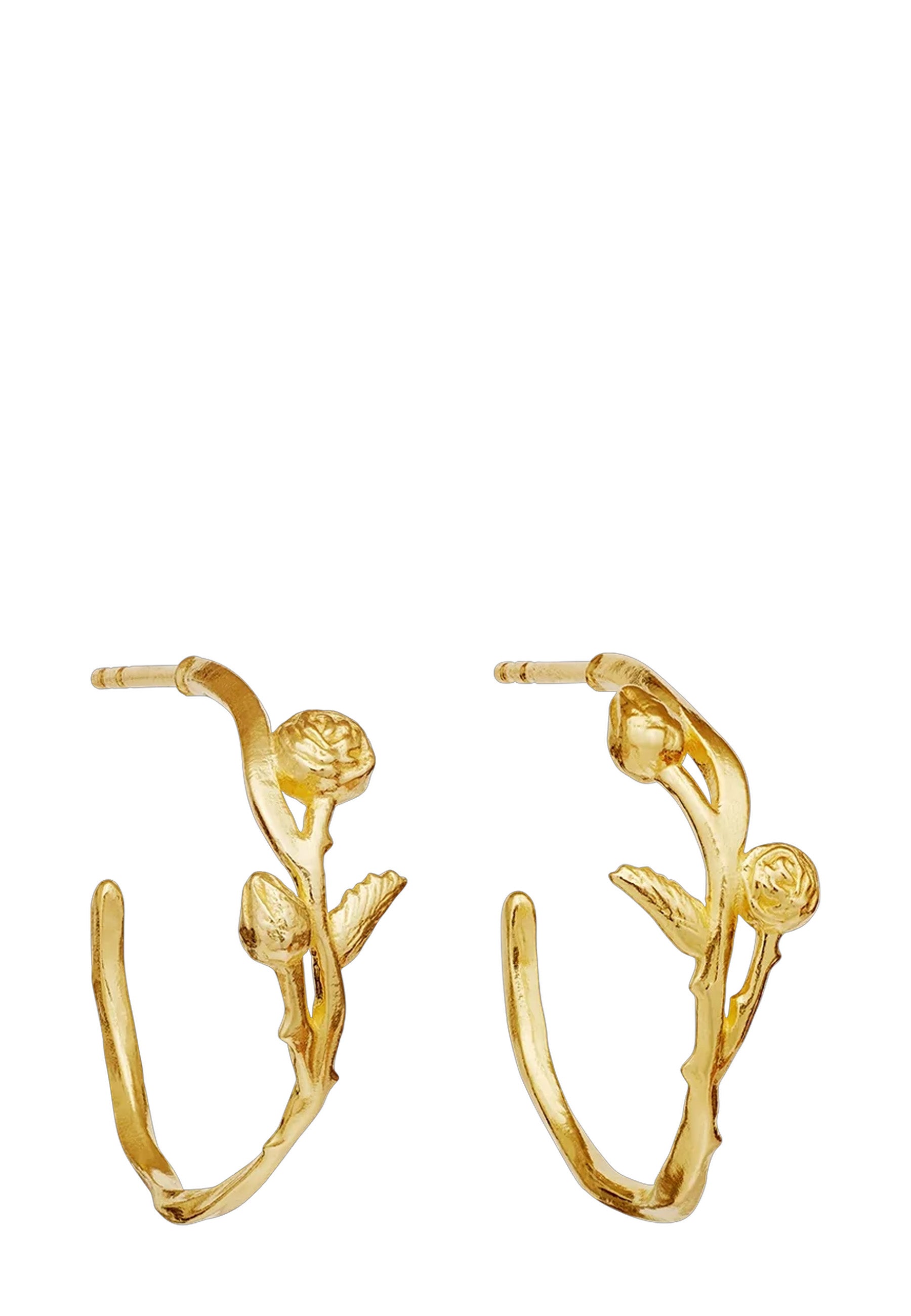 Kalyna Ørering | Guld
