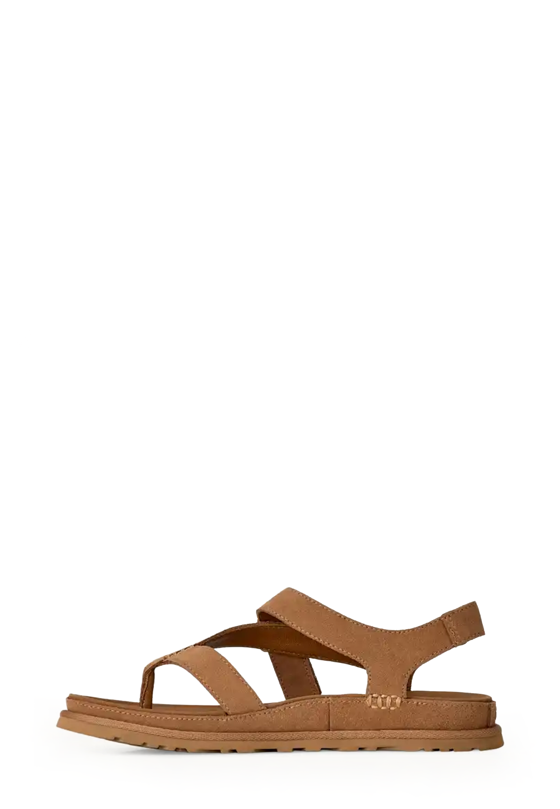 Goldengaze Toe Post Sandal | Chestnut