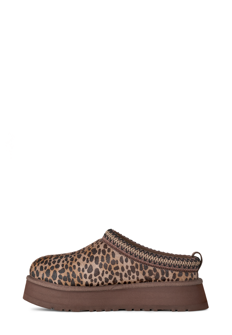 Tazz Clog | Caspian