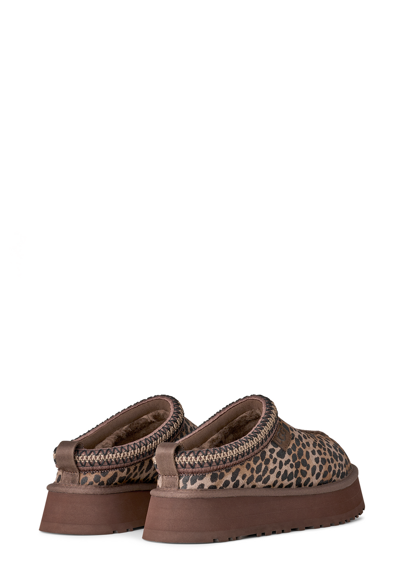 Tazz Clog | Caspian