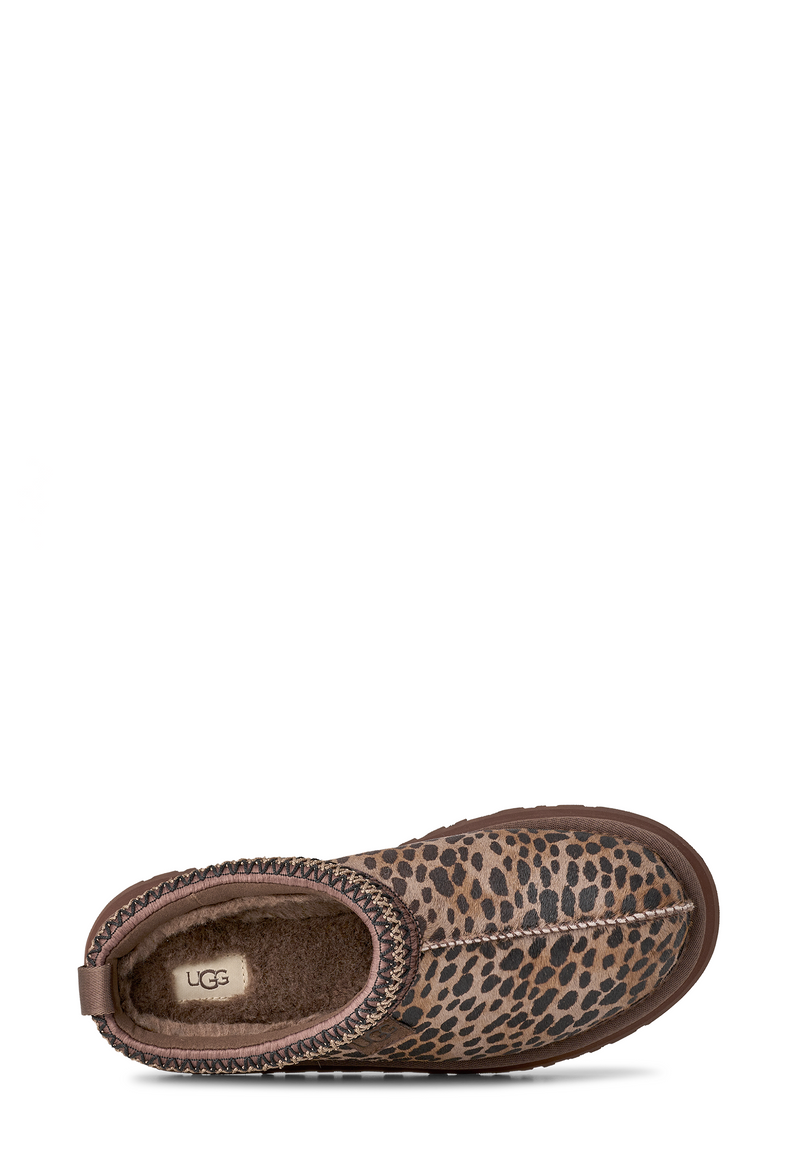 Tazz Clog | Caspian