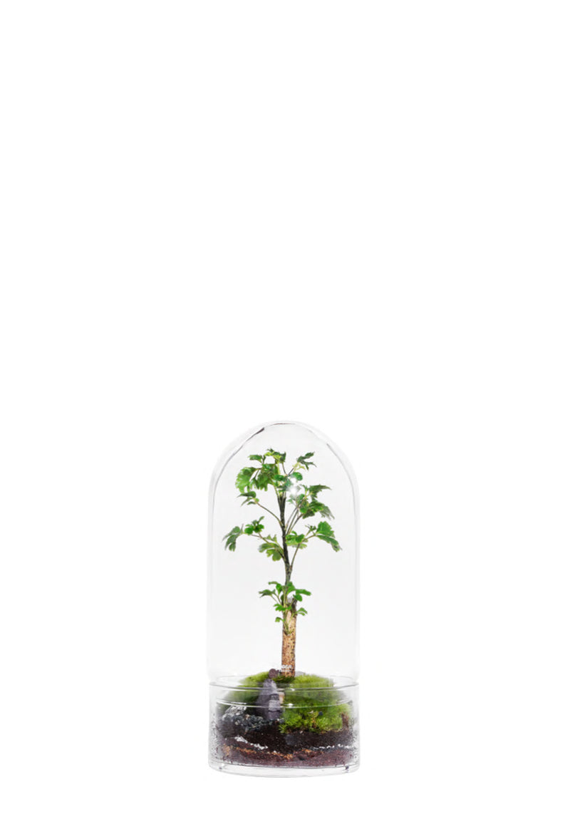 Jungle Rocket M Biotope