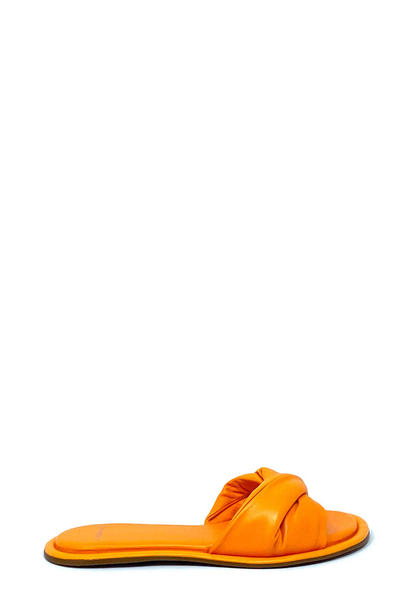554006 muldyr | mandarin