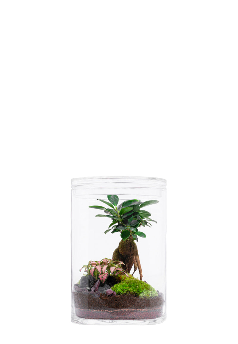 Garden L biotope