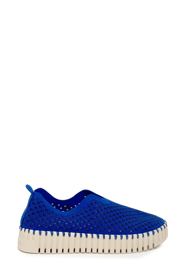 Tulip Sneaker | Blue