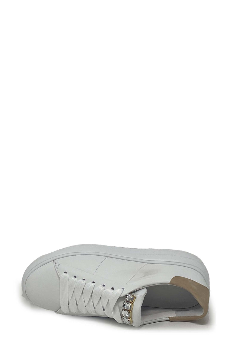 18790.635 Trainers | Bianco